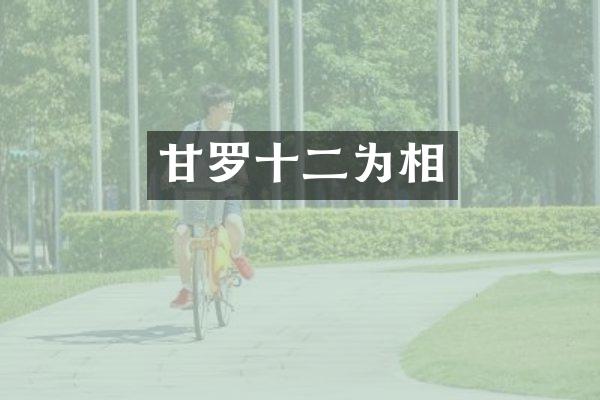 甘罗十二为相