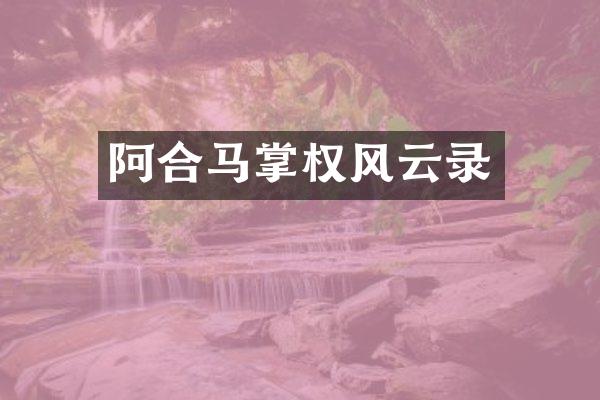 阿合马掌权风云录