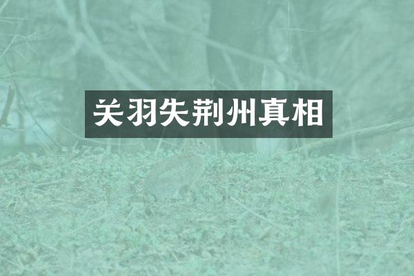 关羽失荆州真相
