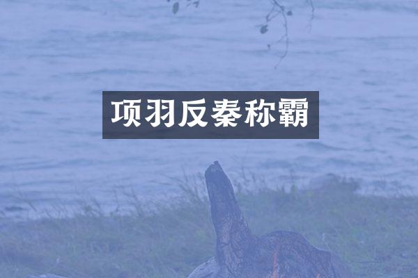 项羽反秦称霸
