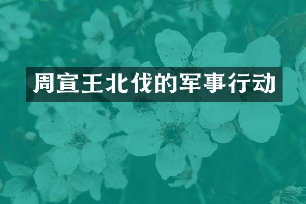 周宣王北伐的军事行动