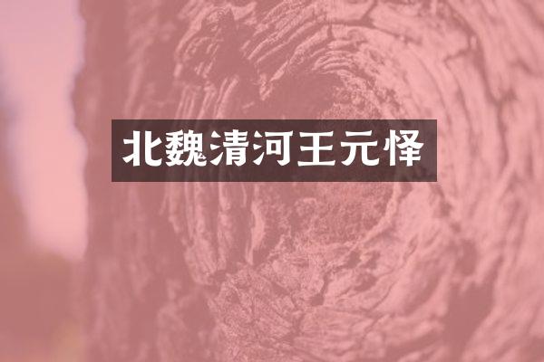 北魏清河王元怿
