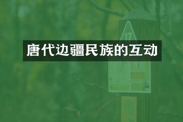 唐代边疆民族的互动