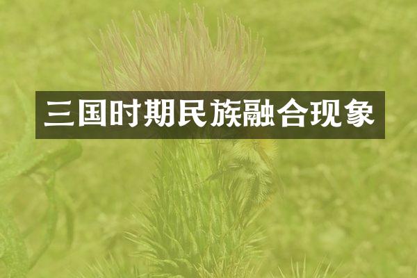三国时期民族融合现象