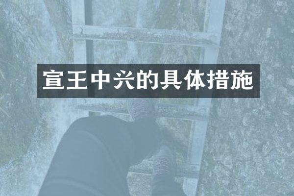 宣王中兴的具体措施
