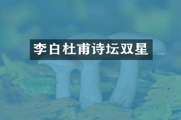 李白杜甫诗坛双星