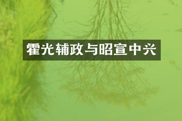 霍光辅政与昭宣中兴