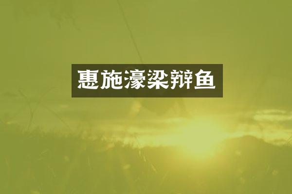 惠施濠梁辩鱼