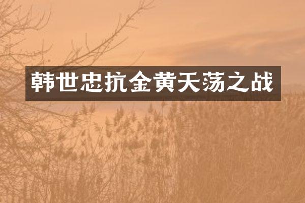 韩世忠抗金黄天荡之战