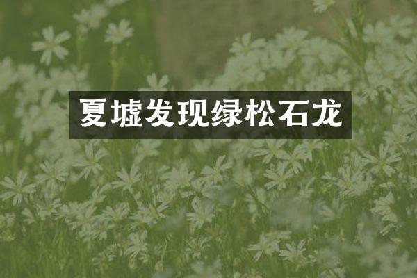 夏墟发现绿松石龙