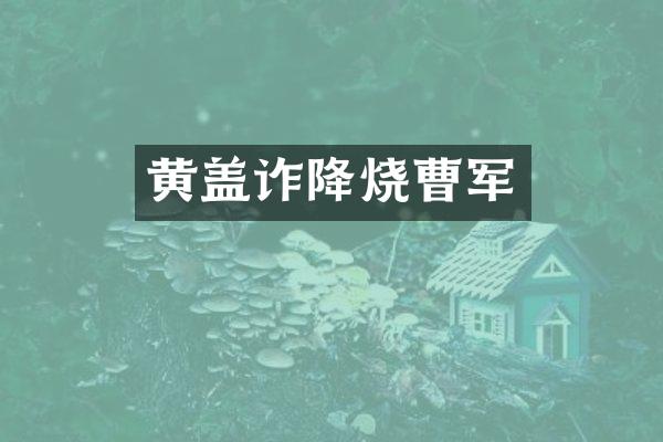 黄盖诈降烧曹军