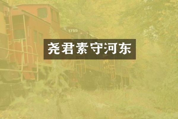 尧君素守河东