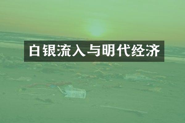 白银流入与明代经济