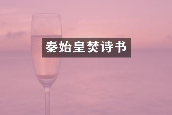秦始皇焚诗书