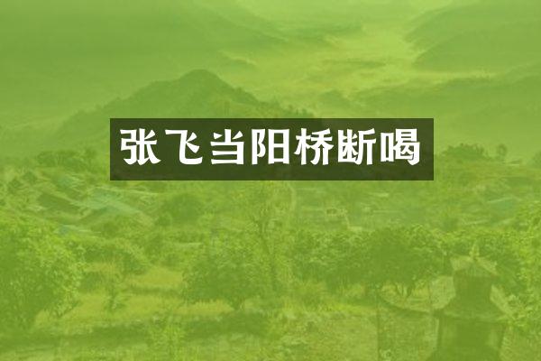 张飞当阳桥断喝