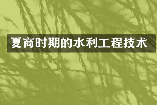 夏商时期的水利工程技术