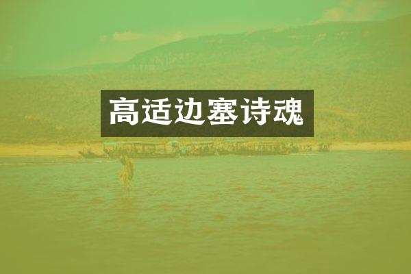 高适魂