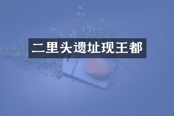 二里头遗址现王都