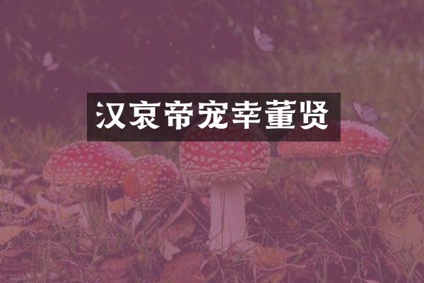 汉哀帝宠幸董贤