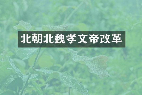 北朝北魏孝文帝改革
