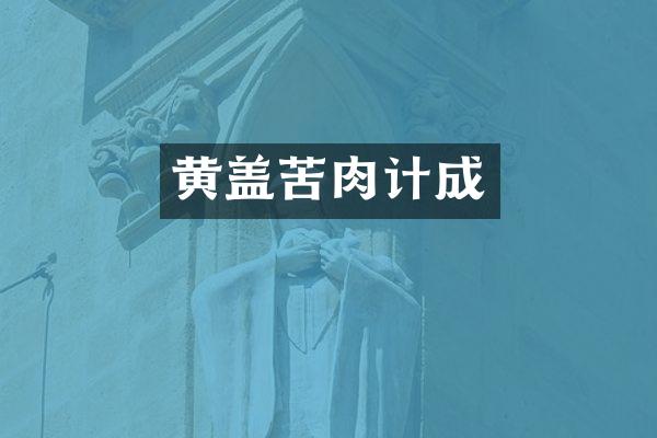 黄盖苦肉计成