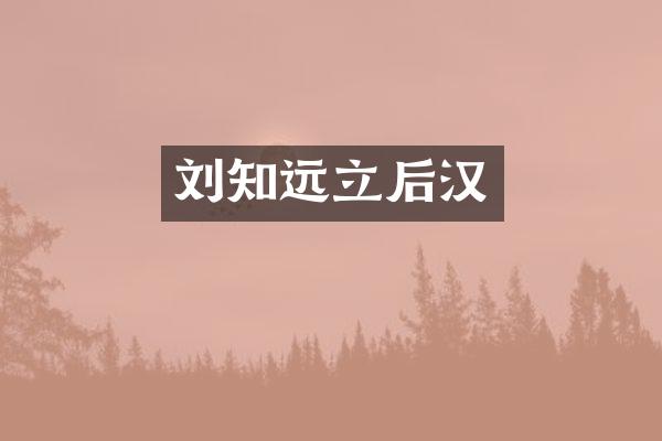 刘知远立后汉