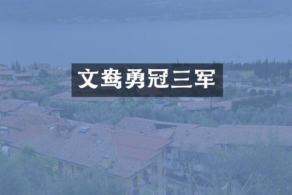 文鸯勇冠三军