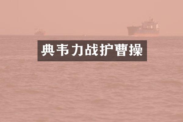 典韦力战护曹操