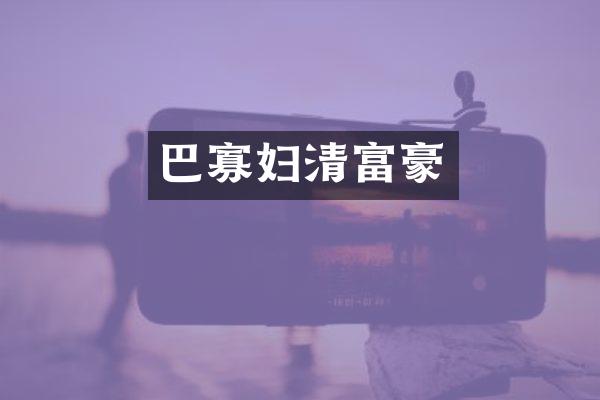 巴寡妇清富豪