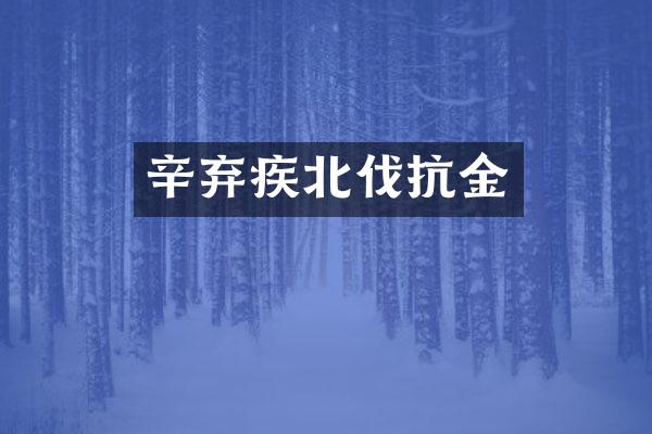 辛弃疾北伐抗金