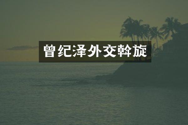 曾纪泽外交斡旋