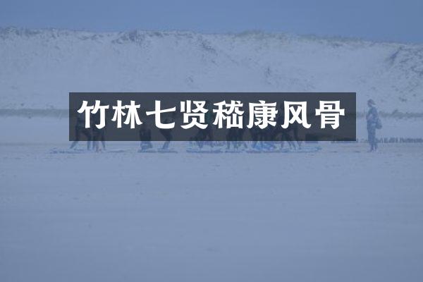 竹林七贤嵇康风骨