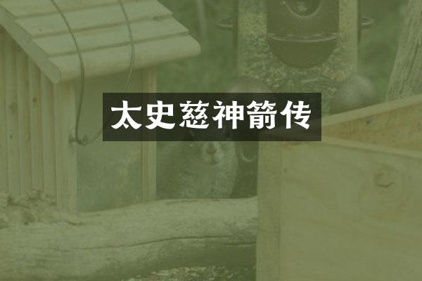 太史慈神箭传