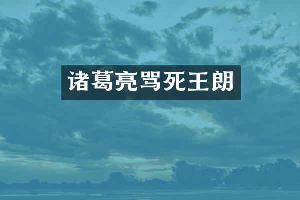 诸葛亮王朗