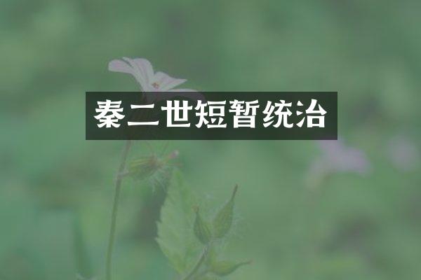 秦二世短暂统治