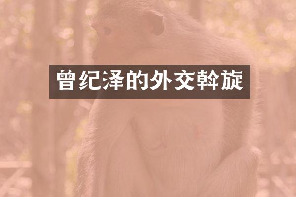曾纪泽的外交斡旋