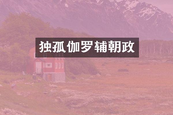 独孤伽罗辅朝政