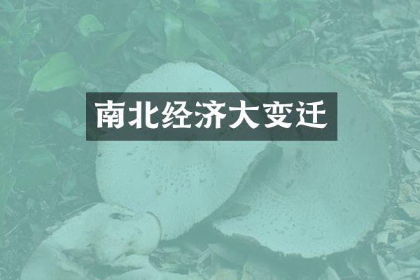 南北经济大变迁