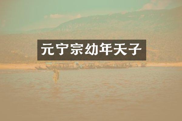 元宁宗幼年天子
