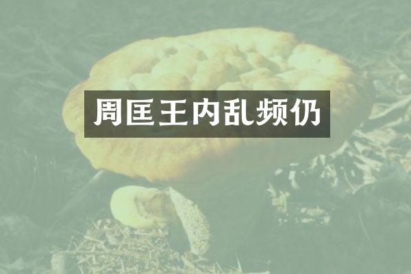 周匡王内乱频仍
