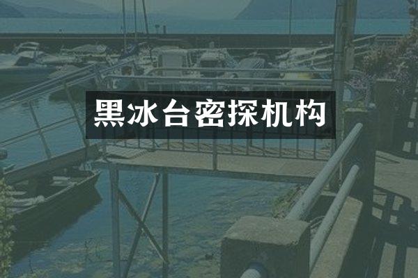 黑冰台密探机构