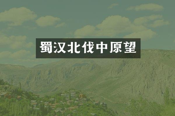 蜀汉北伐中原望