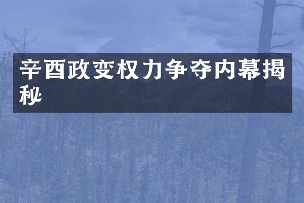 辛酉政变权力争夺内幕揭秘