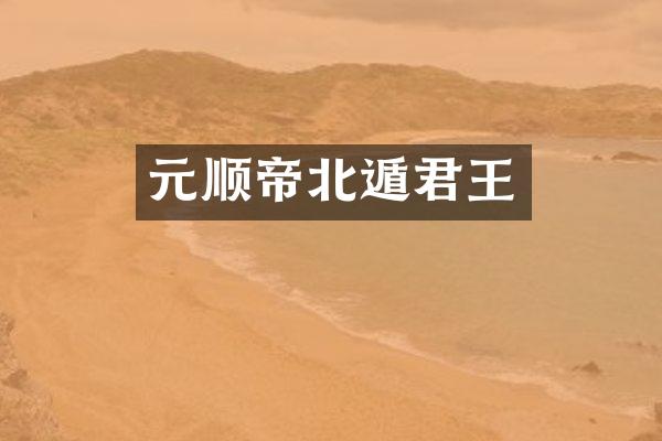 元顺帝北遁君王