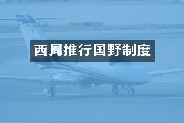 西周推行国野制度
