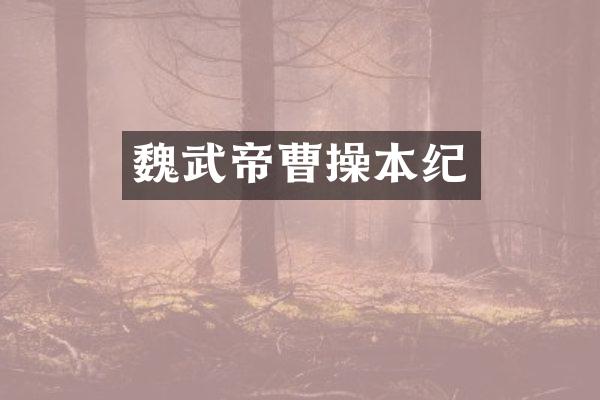 魏武帝曹操本纪