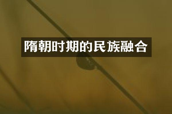 隋朝时期的民族融合