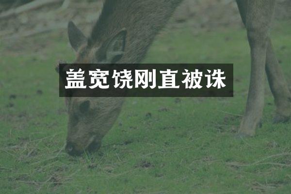盖宽饶刚直被诛