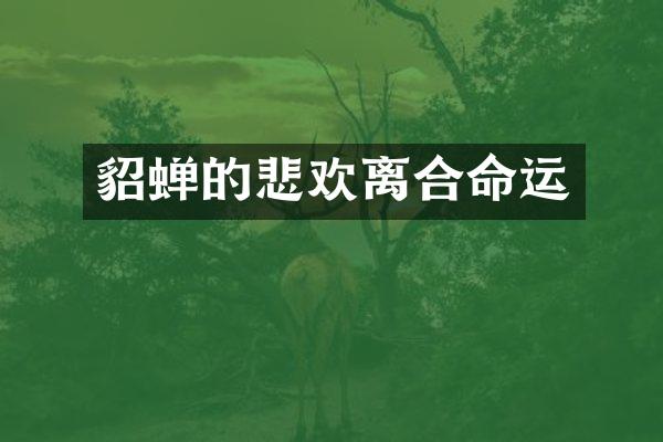貂蝉的悲欢离合命运