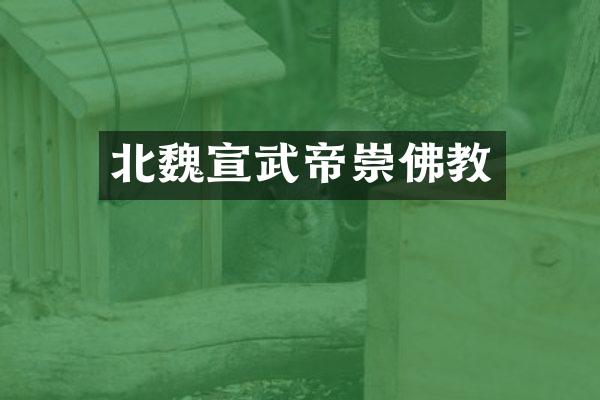 北魏宣武帝崇佛教